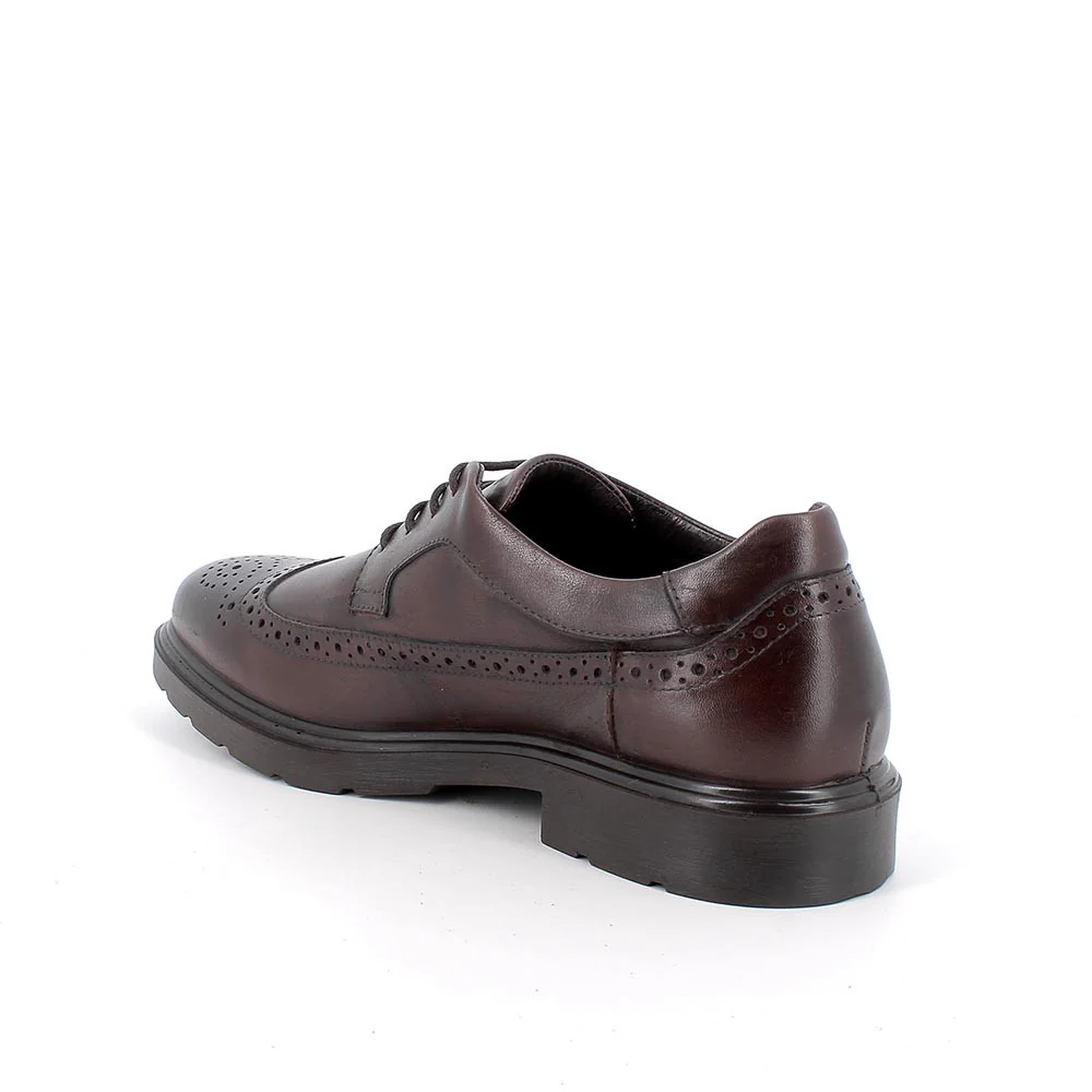 Igi&Co 8600311 Stringate da uomo marrone con lacci - immagine 4