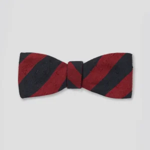 papillon in seta da annodare fantasia rigata bordeaux/blu