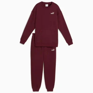 Puma Tuta Completa Donna Bordeaux