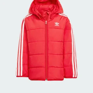 Adidas Giubbotto Invernale Adicolor