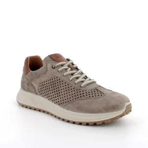 Igi&co Sneakers Saronno pelle scamosciata - peltro